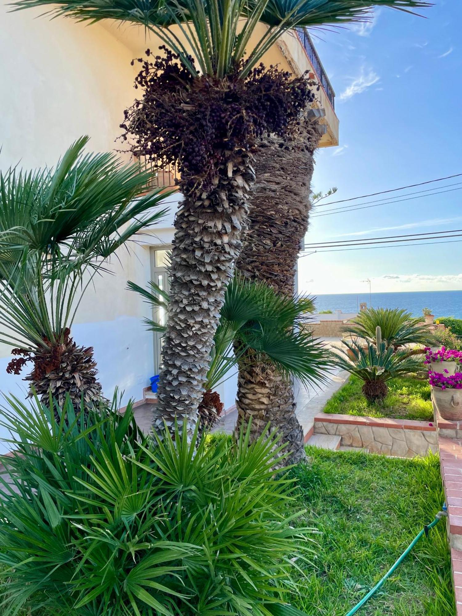 Villa Sul Mare Palazzolo Trappeto  Zewnętrze zdjęcie